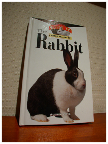 rabbit.jpg