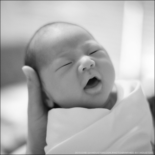 20110115ian01.jpg