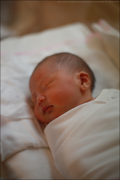 20110109ian03.jpg