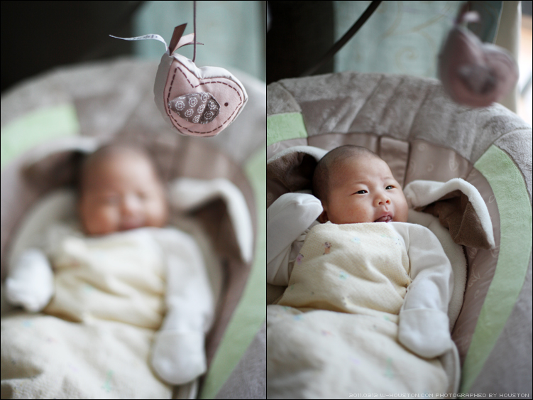 20110212ian02.jpg