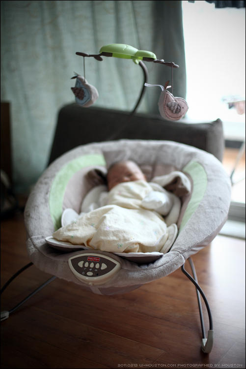 20110212ian03.jpg
