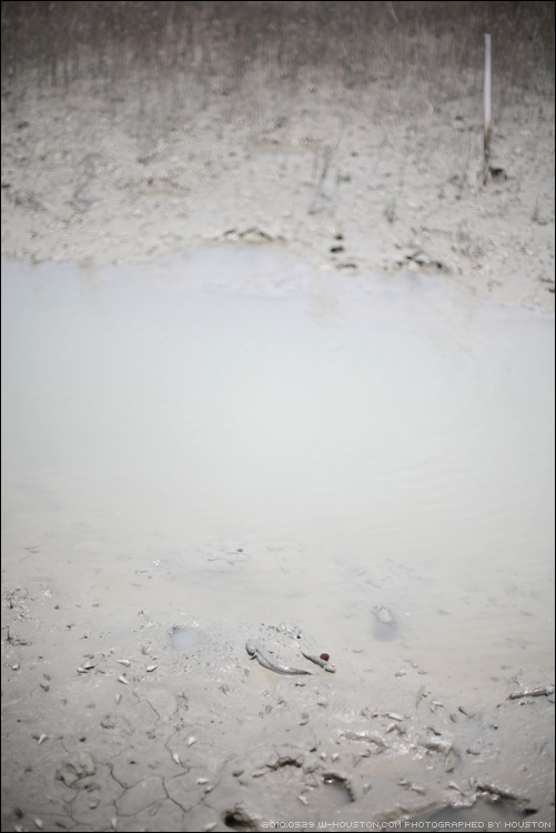 20100529wed1th17.jpg