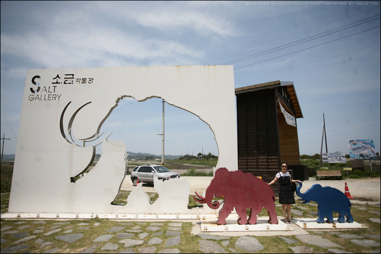 20100529wed1th10.jpg