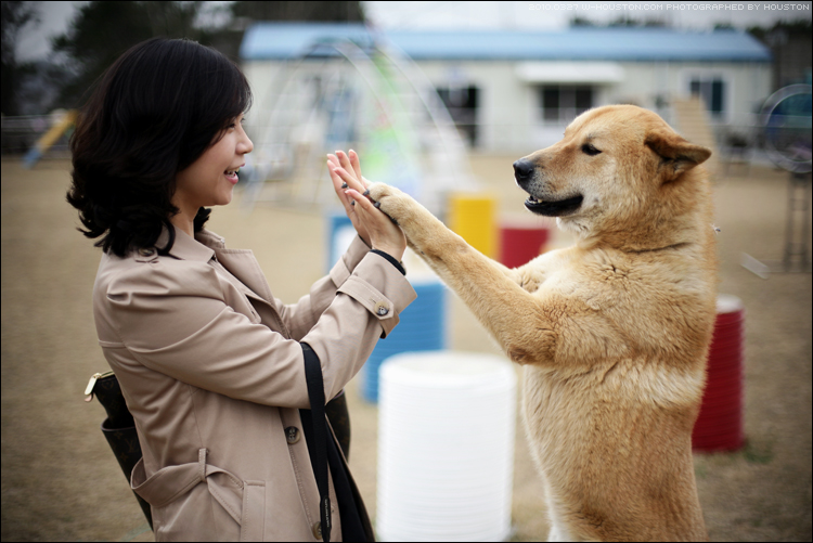 20100327jindo05.jpg