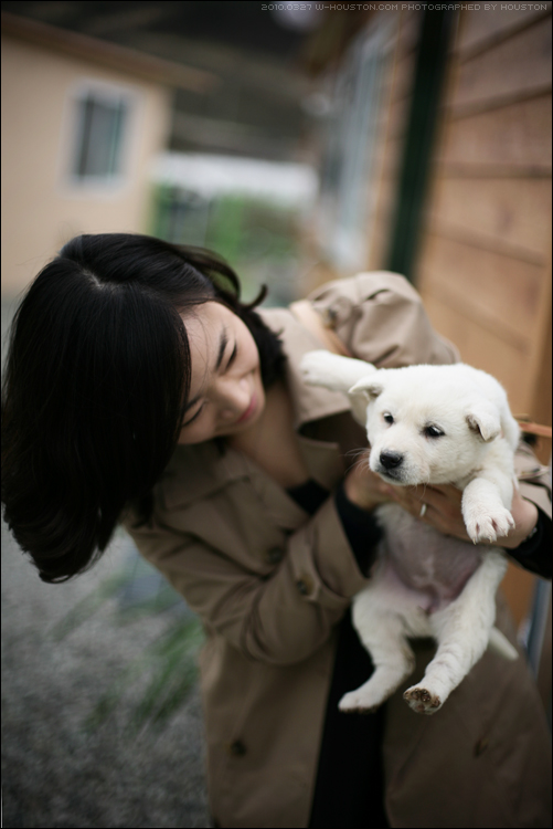 20100327jindo03.jpg