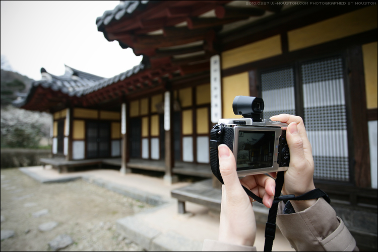 20100327jindo11.jpg