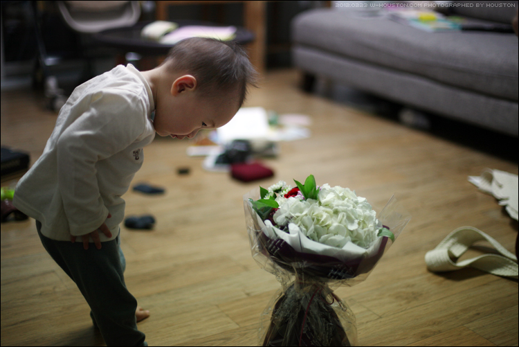 20120223ian03.jpg