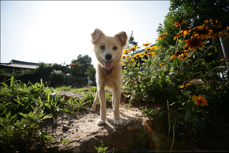 20100707bj12.jpg