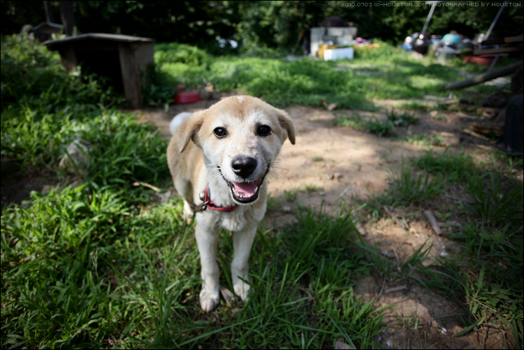20100707bj07.jpg