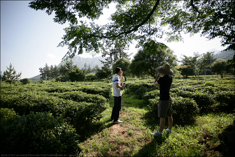 20100707bj08.jpg