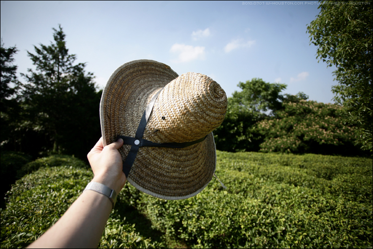 20100707bj09.jpg