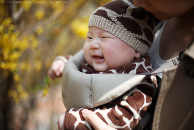 20110410ian06.jpg