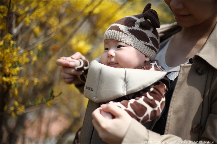 20110410ian04.jpg