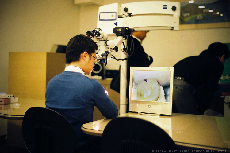 200910endo02.jpg