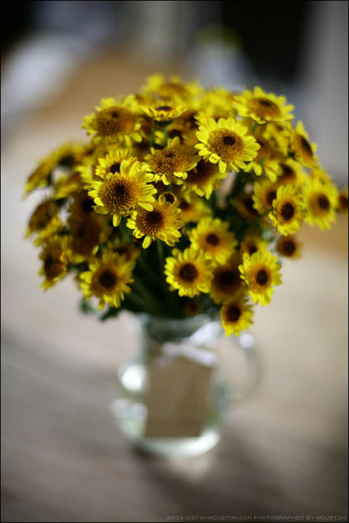 20091031RR01.jpg