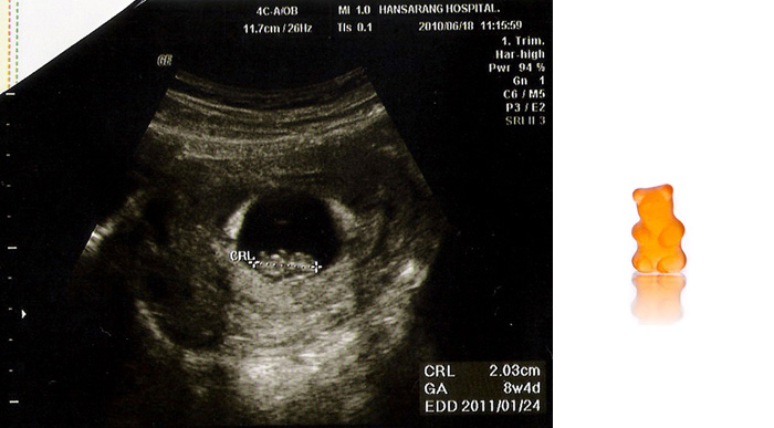 8week_s.jpg