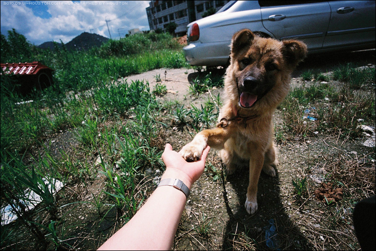 201009bs01.jpg