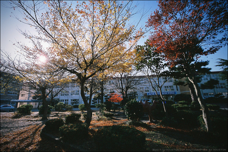 201011haenam01.jpg