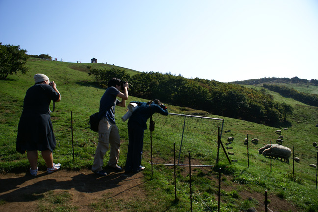 DSC07341m.jpg