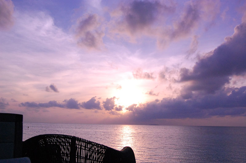 DSC_0556.JPG